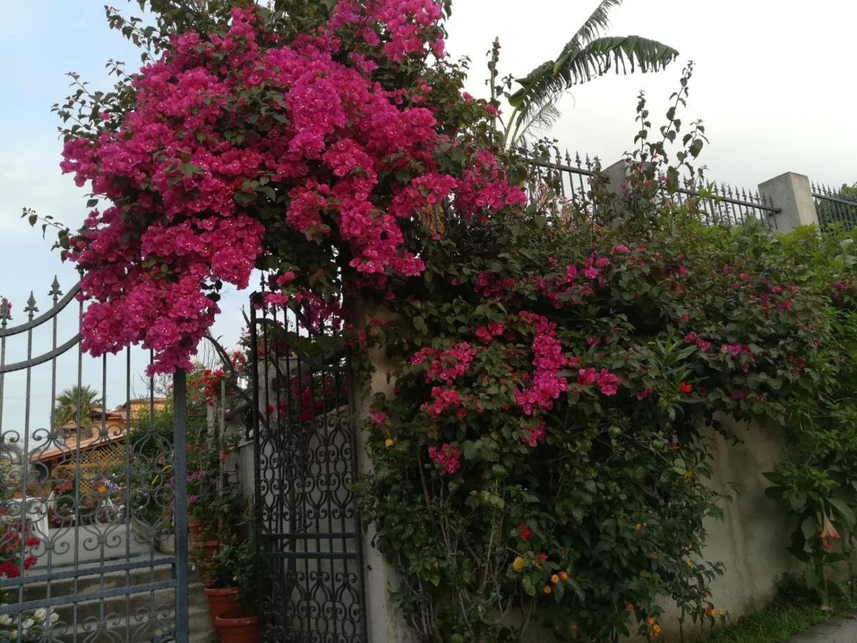 Villa Delle Rose Bova Marina Exterior foto