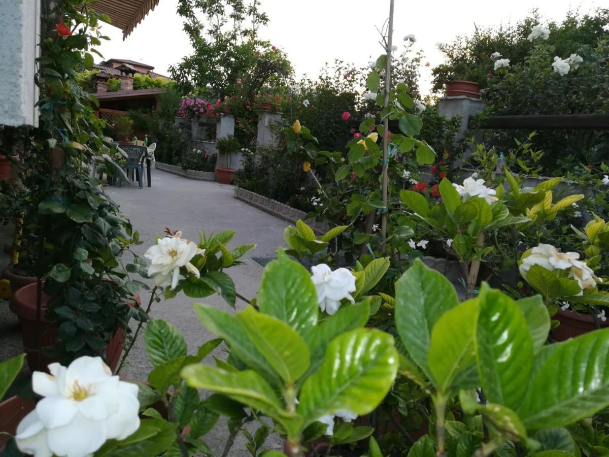 Villa Delle Rose Bova Marina Exterior foto