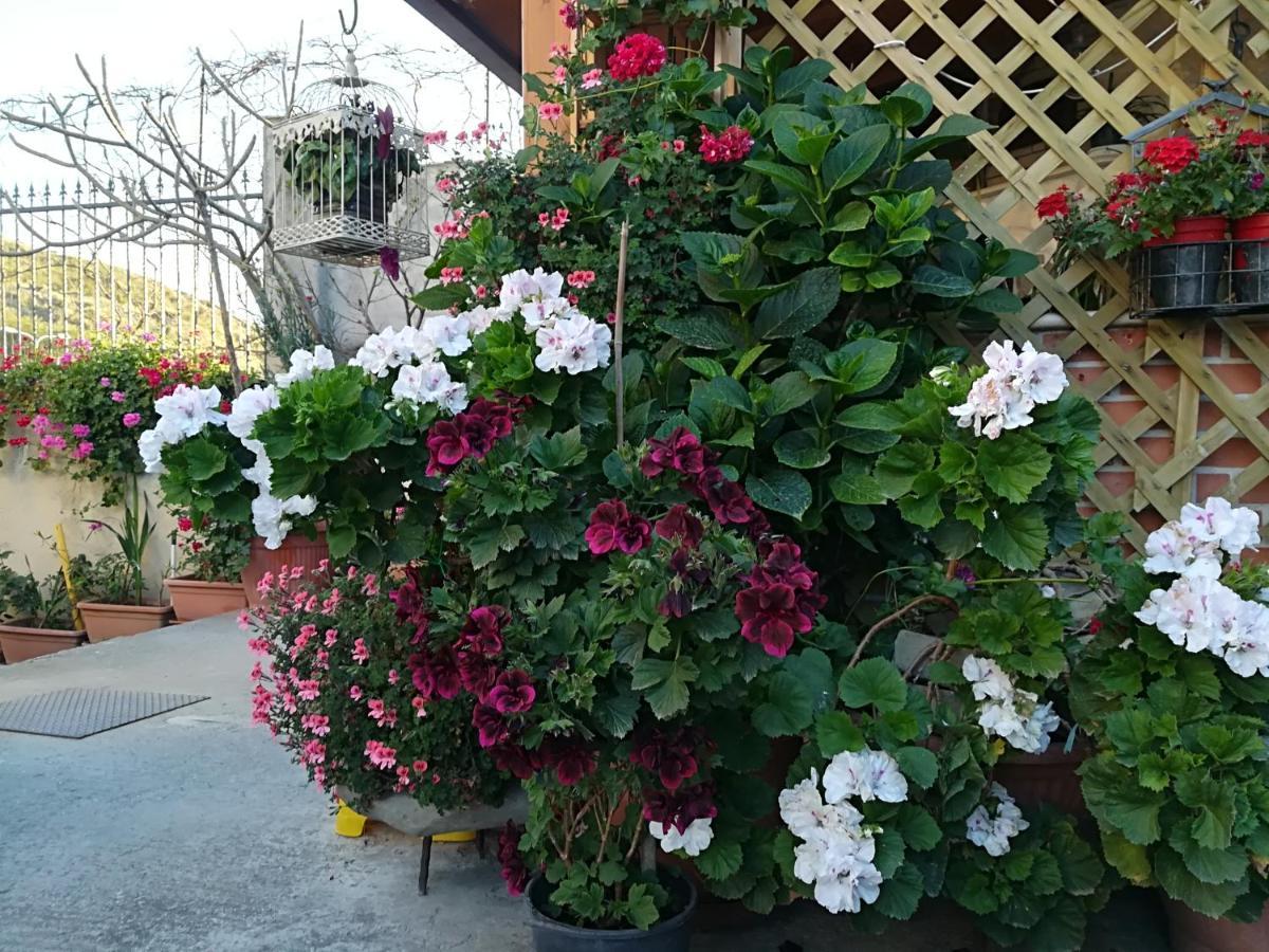 Villa Delle Rose Bova Marina Exterior foto