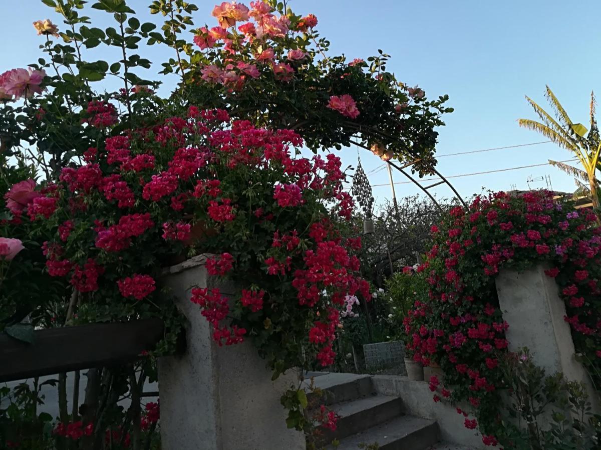 Villa Delle Rose Bova Marina Exterior foto