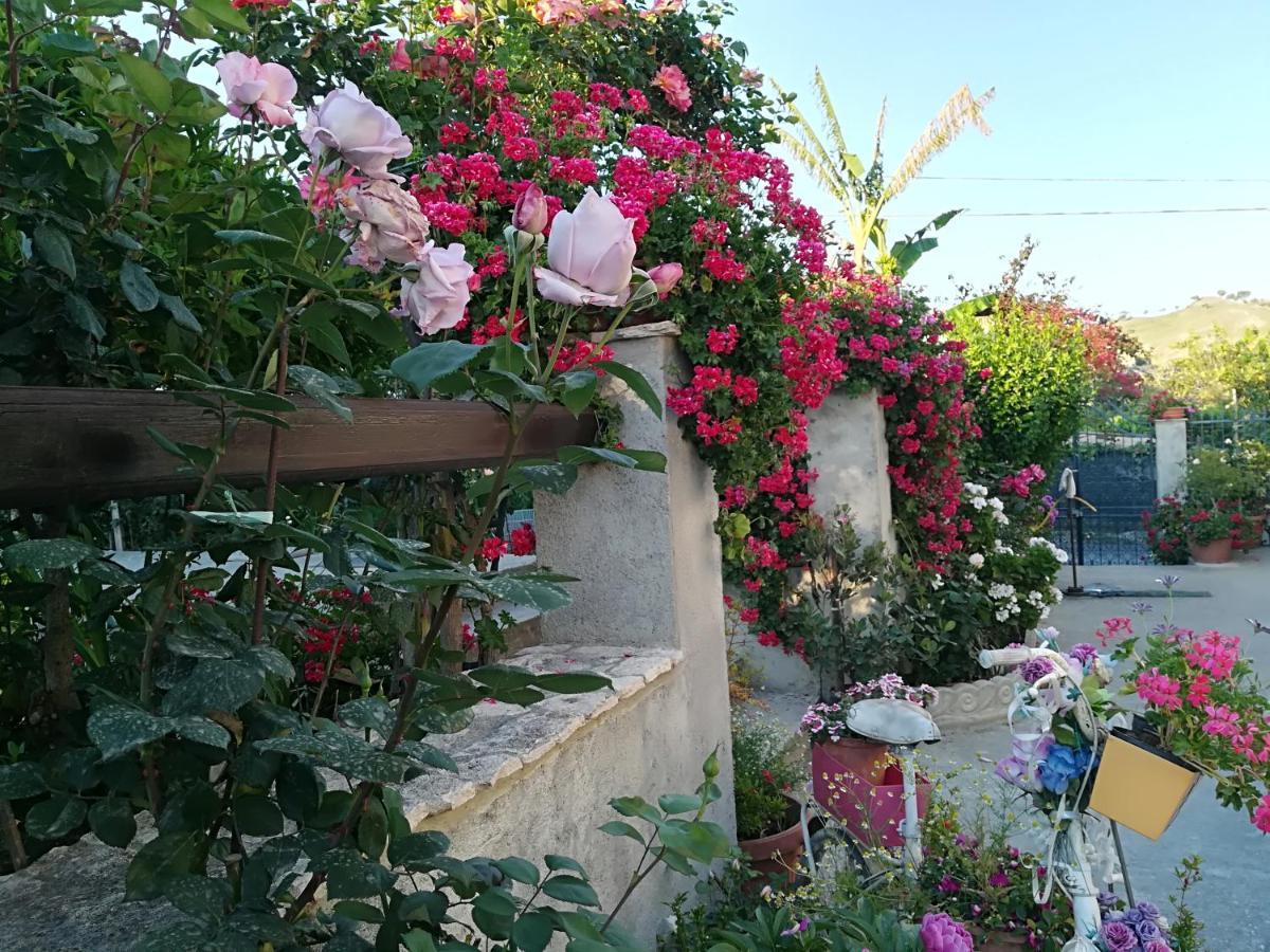 Villa Delle Rose Bova Marina Exterior foto