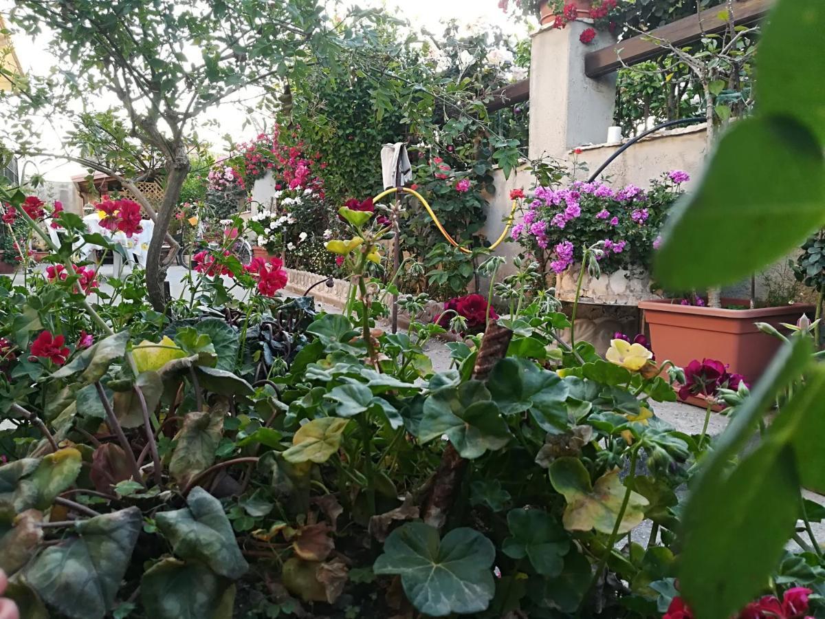Villa Delle Rose Bova Marina Exterior foto